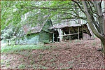 DSCN6640
