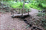 DSCN6643