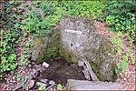 DSCN6642