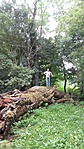Cicó 074