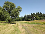 Sikáros (in memoriam Vadetető) 009