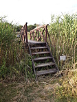 Tóbarát 004