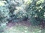 GC3192E