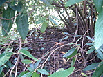 GC3192C