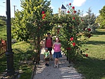 IMG_20160720_172543