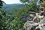 Bujak (3)