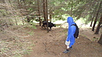 SAM_1499