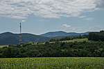 _DSC3875