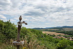 _DSC3906