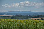 _DSC3874