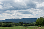 _DSC3873
