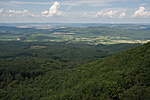 _DSC4126