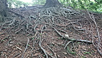 DSC_1009_resize