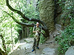 Bazaltorgonáknál