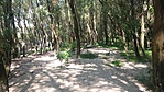 20160729_142013