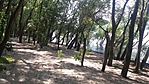 20160729_142007
