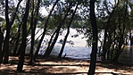 20160729_142009