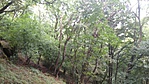 GCMAVI_20160723100028.jpg