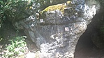 GCKLIK_20160723142617.jpg