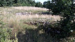 GCeper_20160730143247.jpg