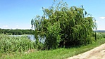 Rejtek