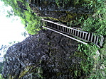 DSC00015