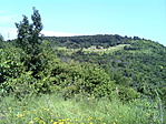 DSC00066