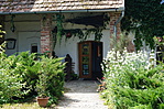 DSC04595