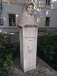 13695146_1128654793862750_812350238_n