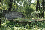 DSC06707