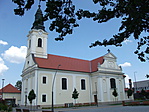 Kiskrs (35)