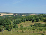 DSC04525