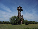 DSC04542