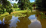 gcveke-IMG_0697