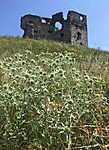 gcveka-IMG_1230