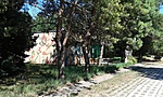 20160710_154656