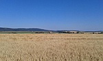 20160710_171546