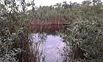 20160730_191829