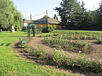 IMG_1941