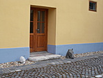 DSCN4468