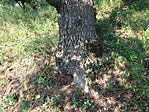 DSC04017