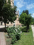 GCTmik_20160718120349.jpg