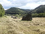 GCLiko_20160721162503.jpg