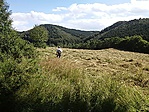 GCLiko_20160721163930.jpg