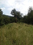 GCSZUD_20160722161359.jpg