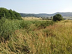 GCRAKT_20160728094930.jpg