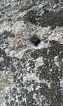 20160714_162918