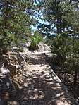 P1080556
