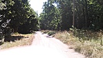 20160712_114618