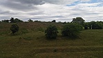 20160719_135935